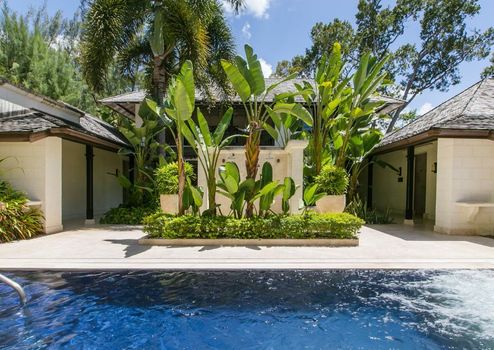 Coral Reef Club