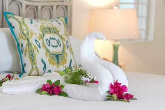 Coral Reef Club