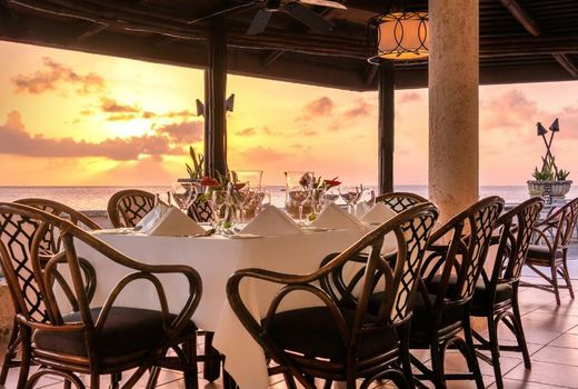 Coral Reef Club