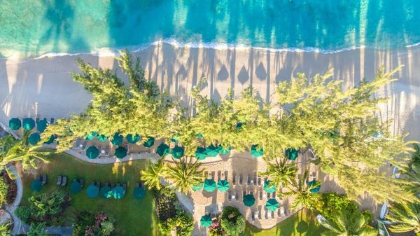 Coral Reef Club