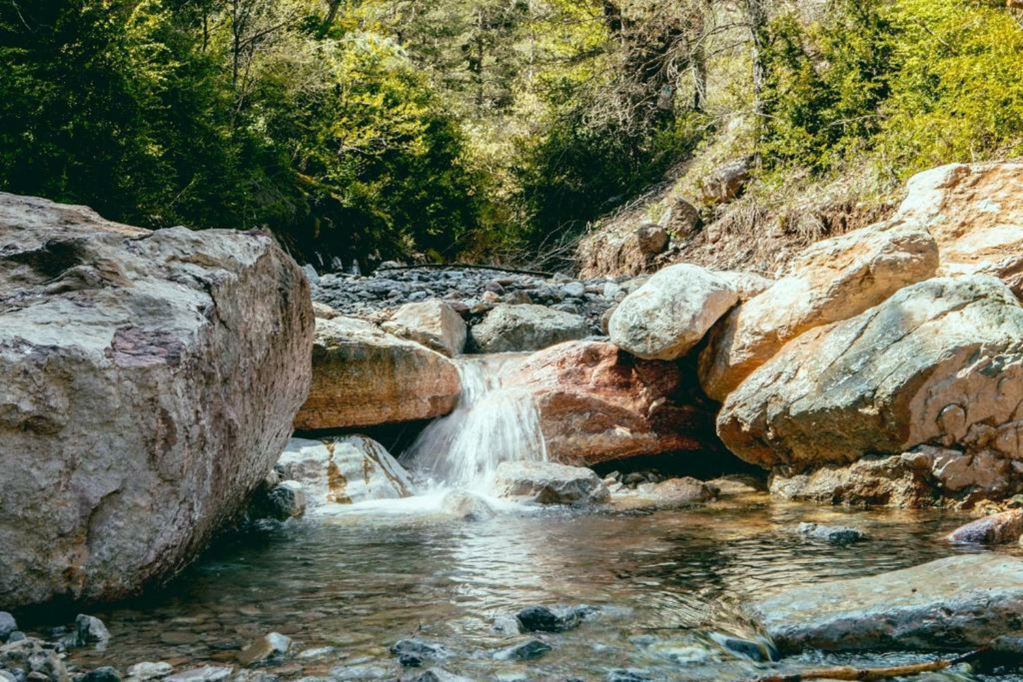 Intrepid Hotel Rural - Adults Only