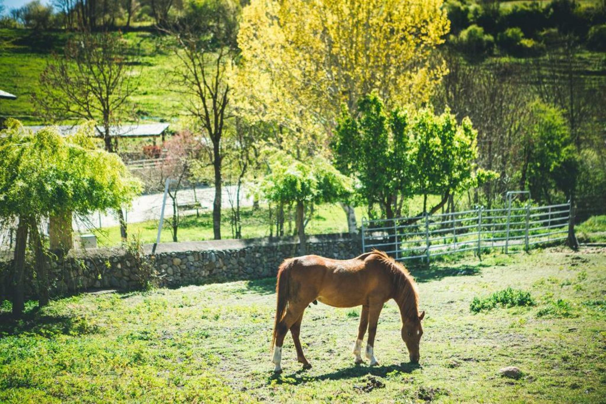 Intrepid Hotel Rural - Adults Only