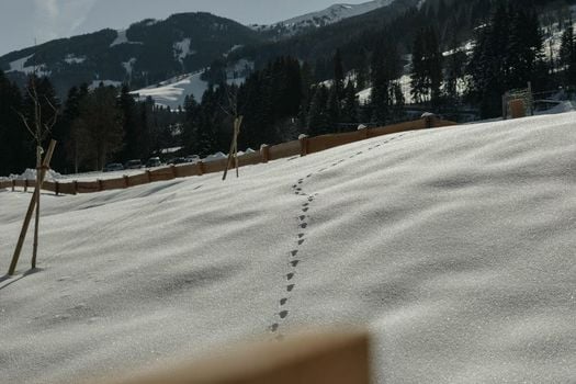 Hygna Chalets