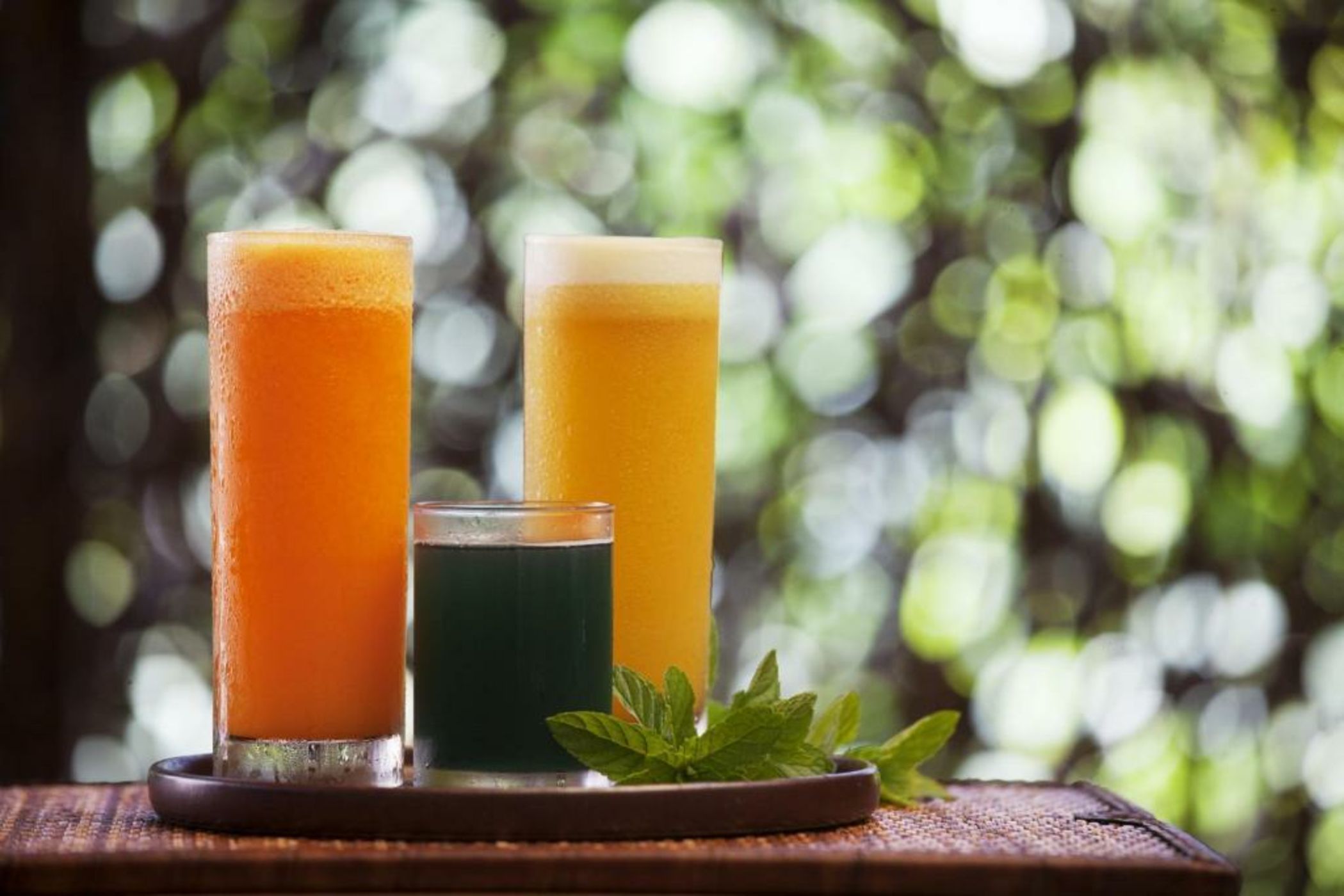 Six Senses Fort Barwara