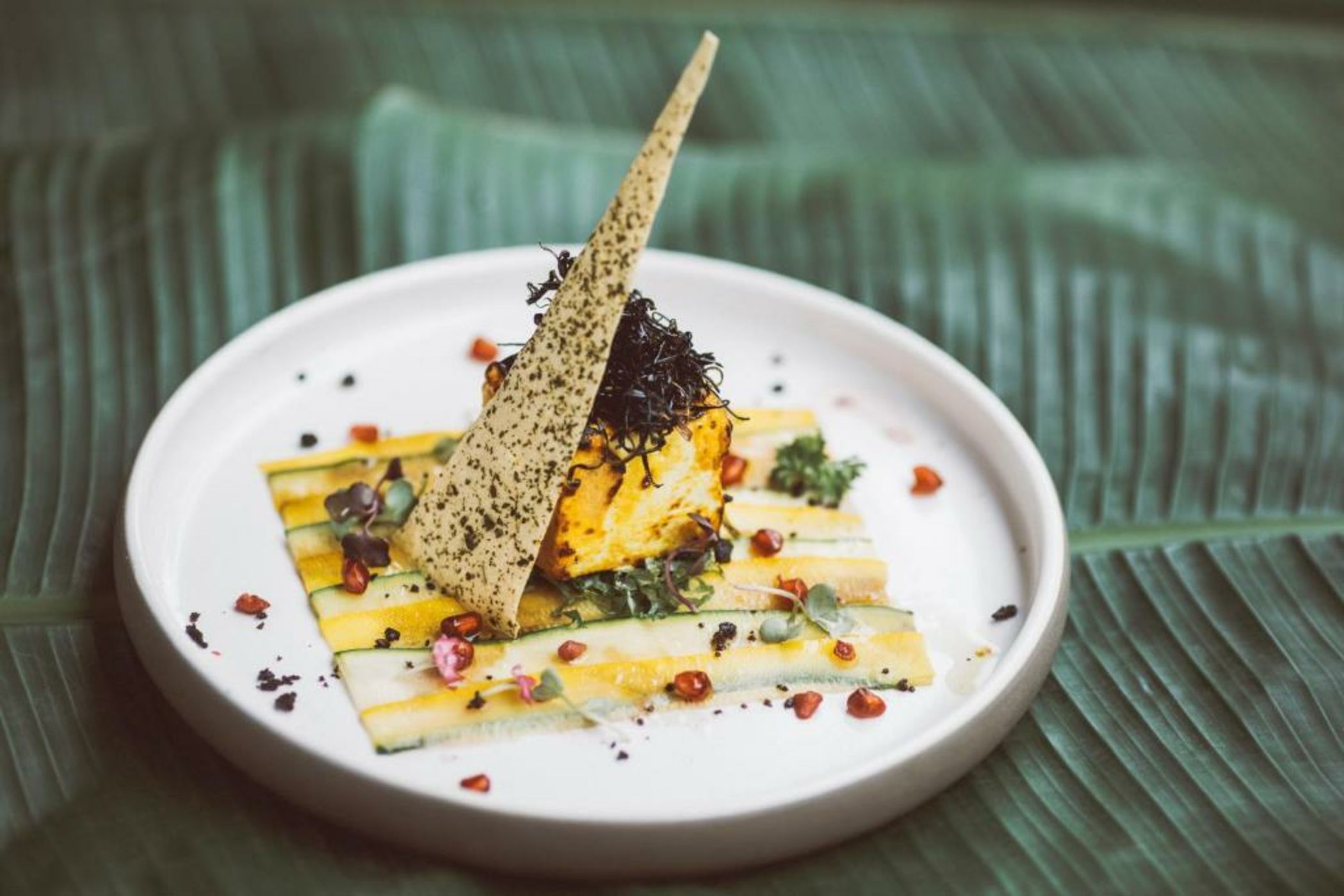 Six Senses Fort Barwara