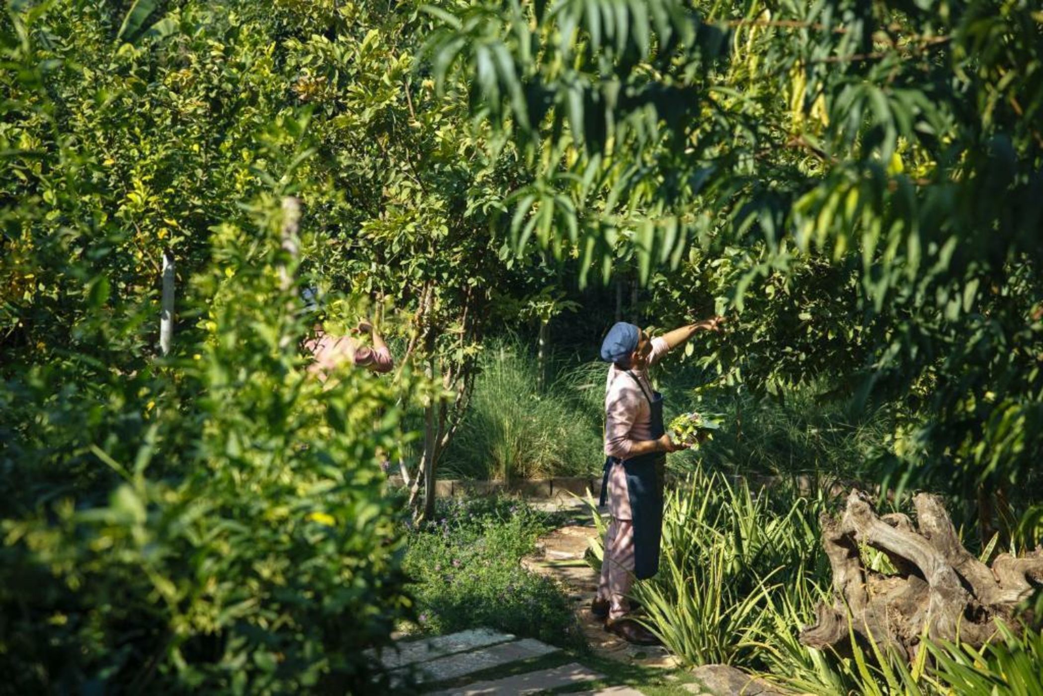 Six Senses Fort Barwara