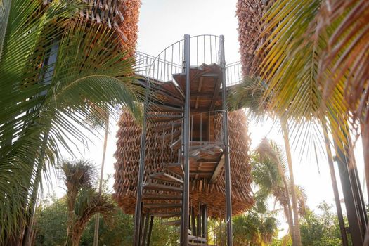 Nomade Holbox