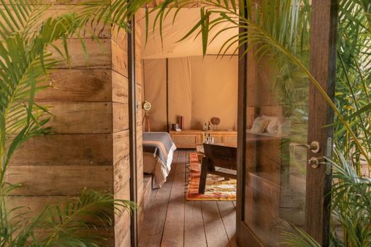 Nomade Holbox