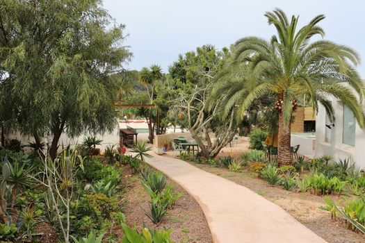 La Pandilla Ibiza