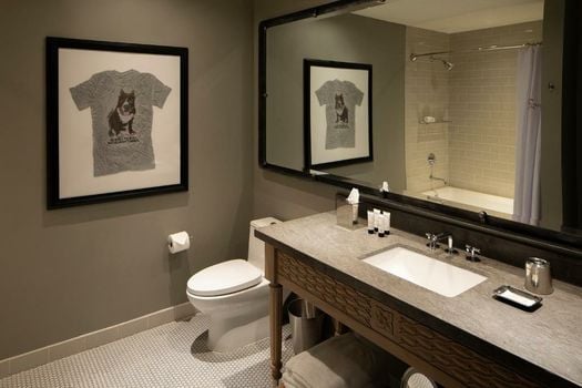 Hotel ZaZa Austin