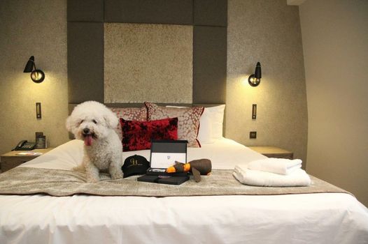 Gonville Hotel