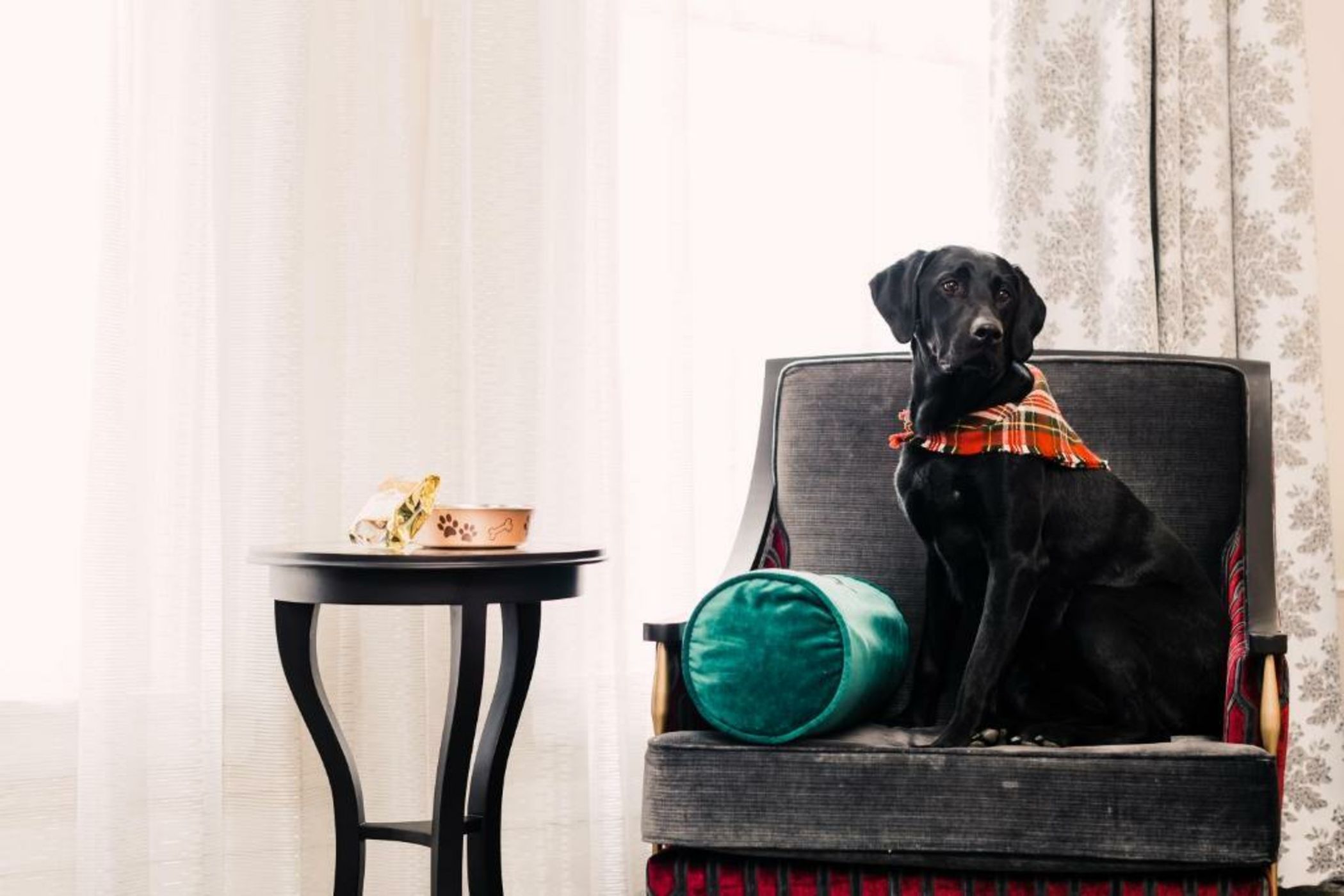 The Oxford Hotel Downtown Denver