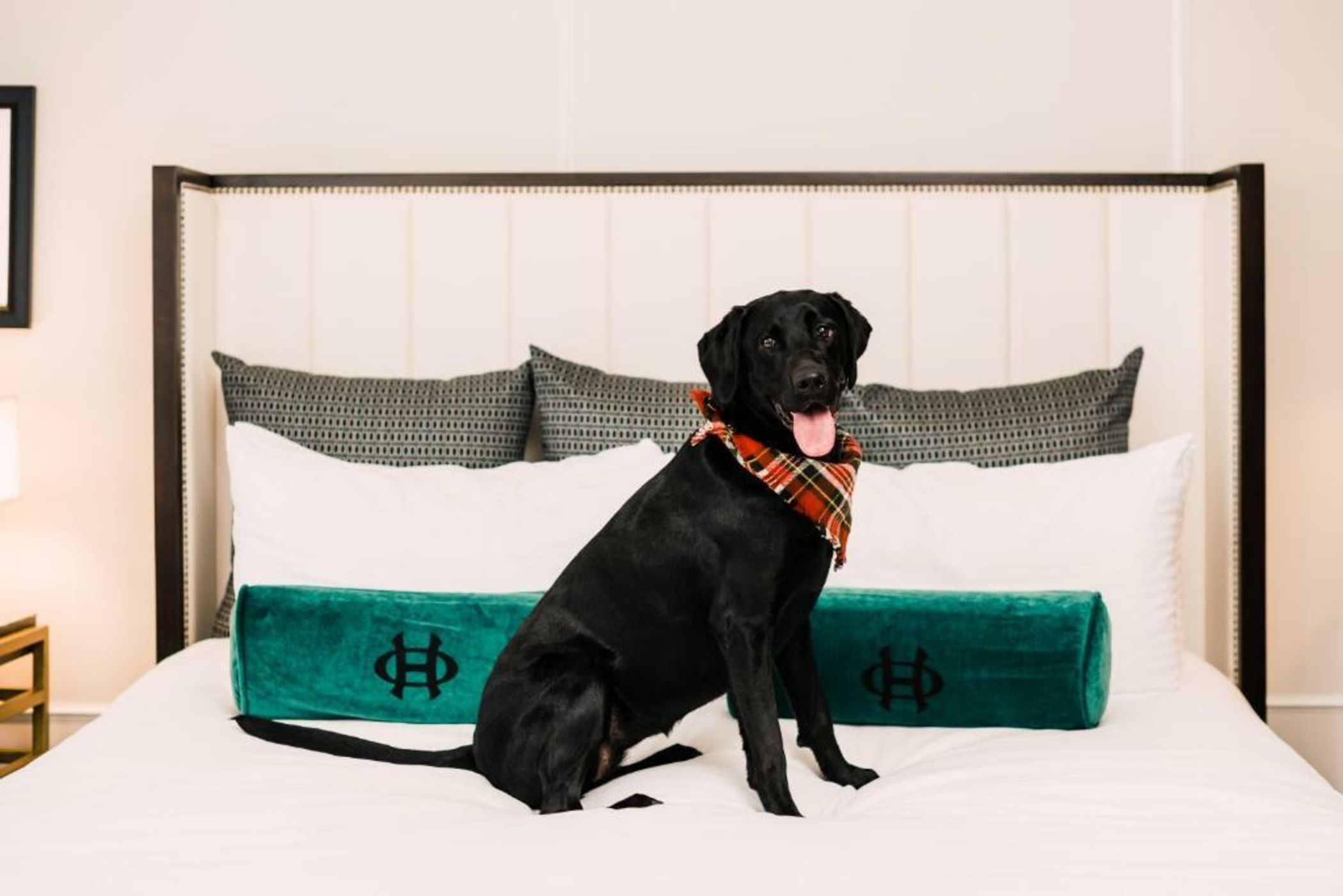 The Oxford Hotel Downtown Denver