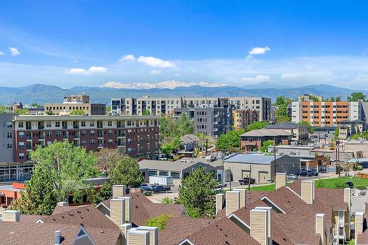 A Denver Skyline State of Mind - Espadin LoHi