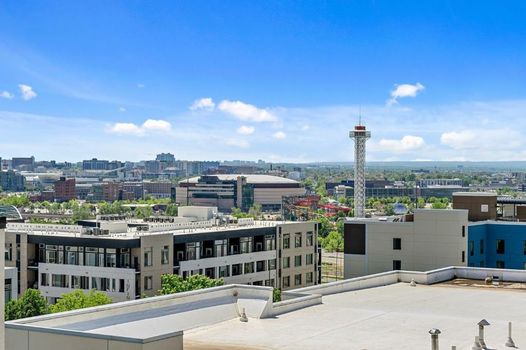 A Denver Skyline State of Mind - Espadin LoHi