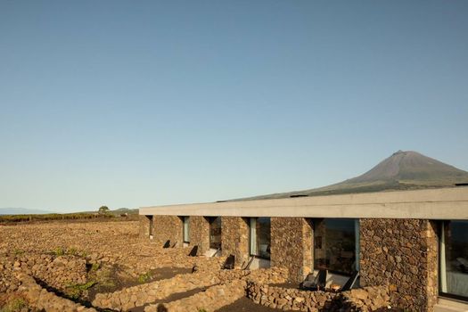 Azores Wine Company