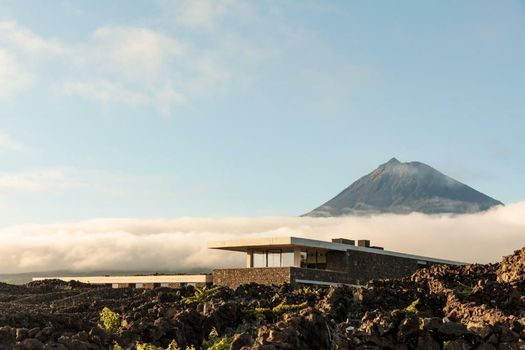Azores Wine Company