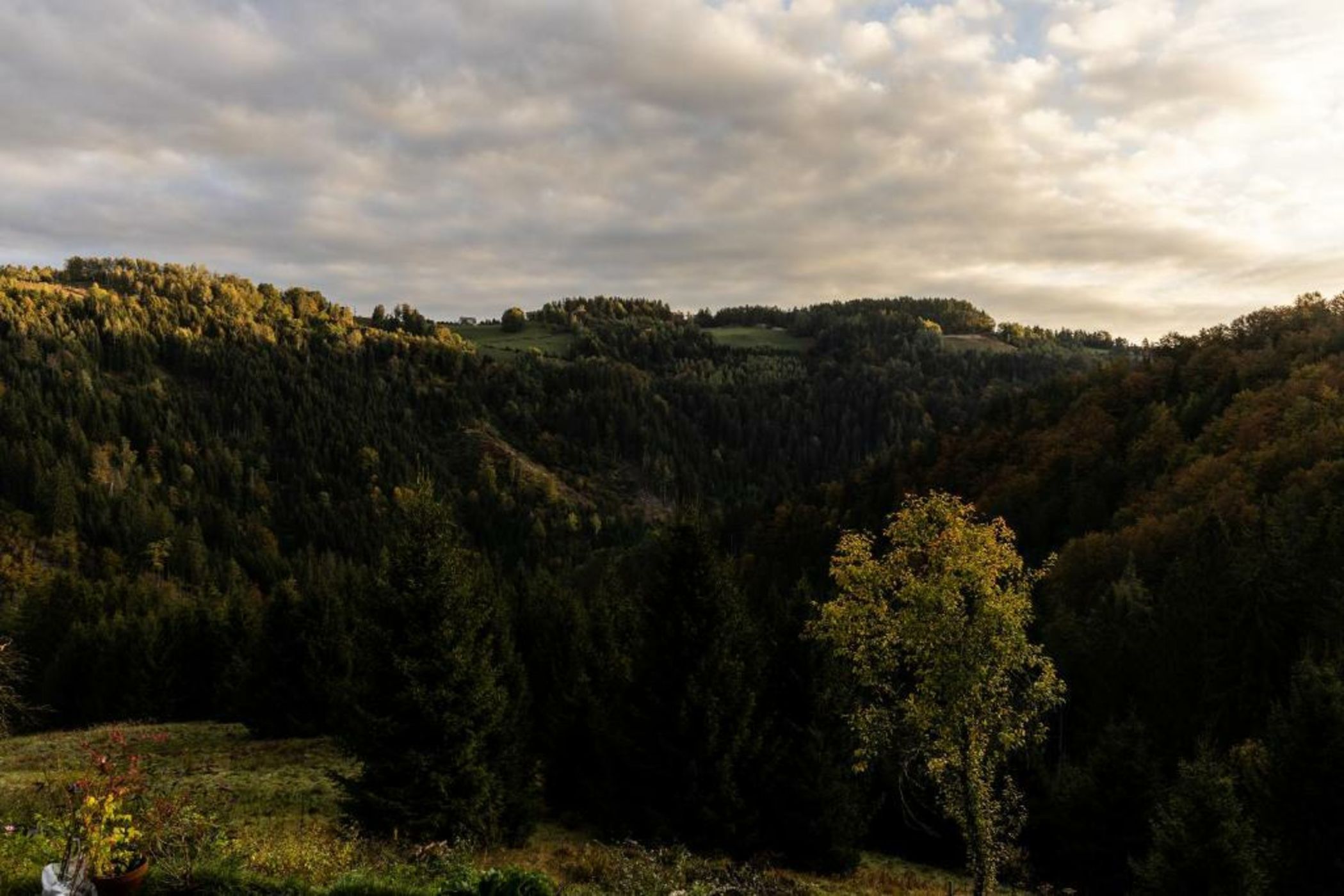 Chalet Leopold - Luxury Alpine Retreat
