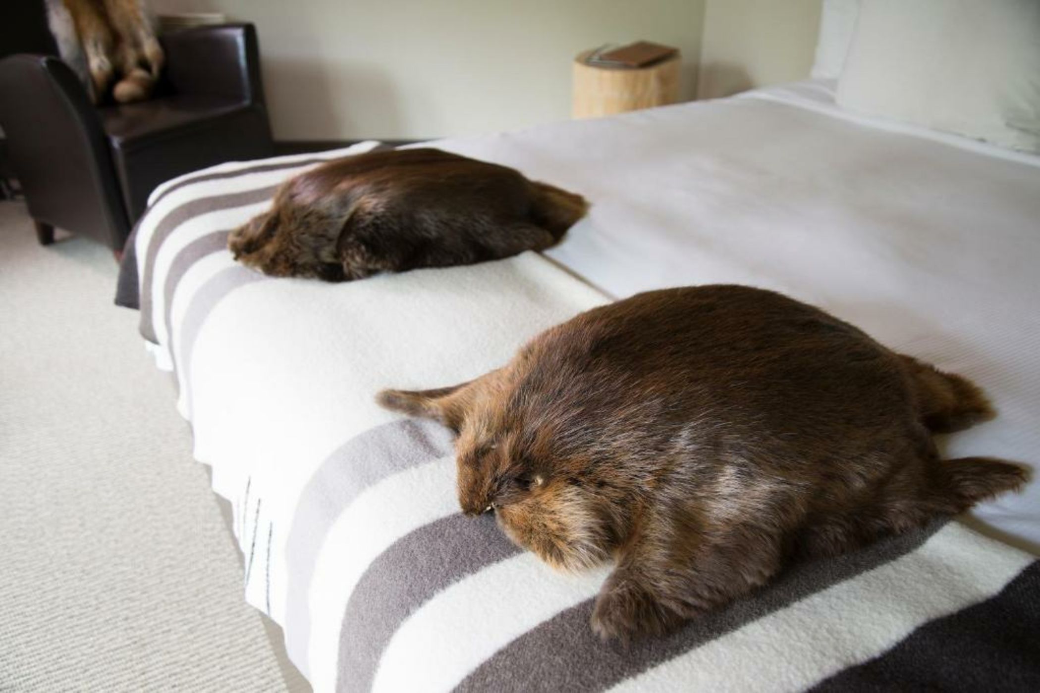 Hôtel-Musée Premières Nations