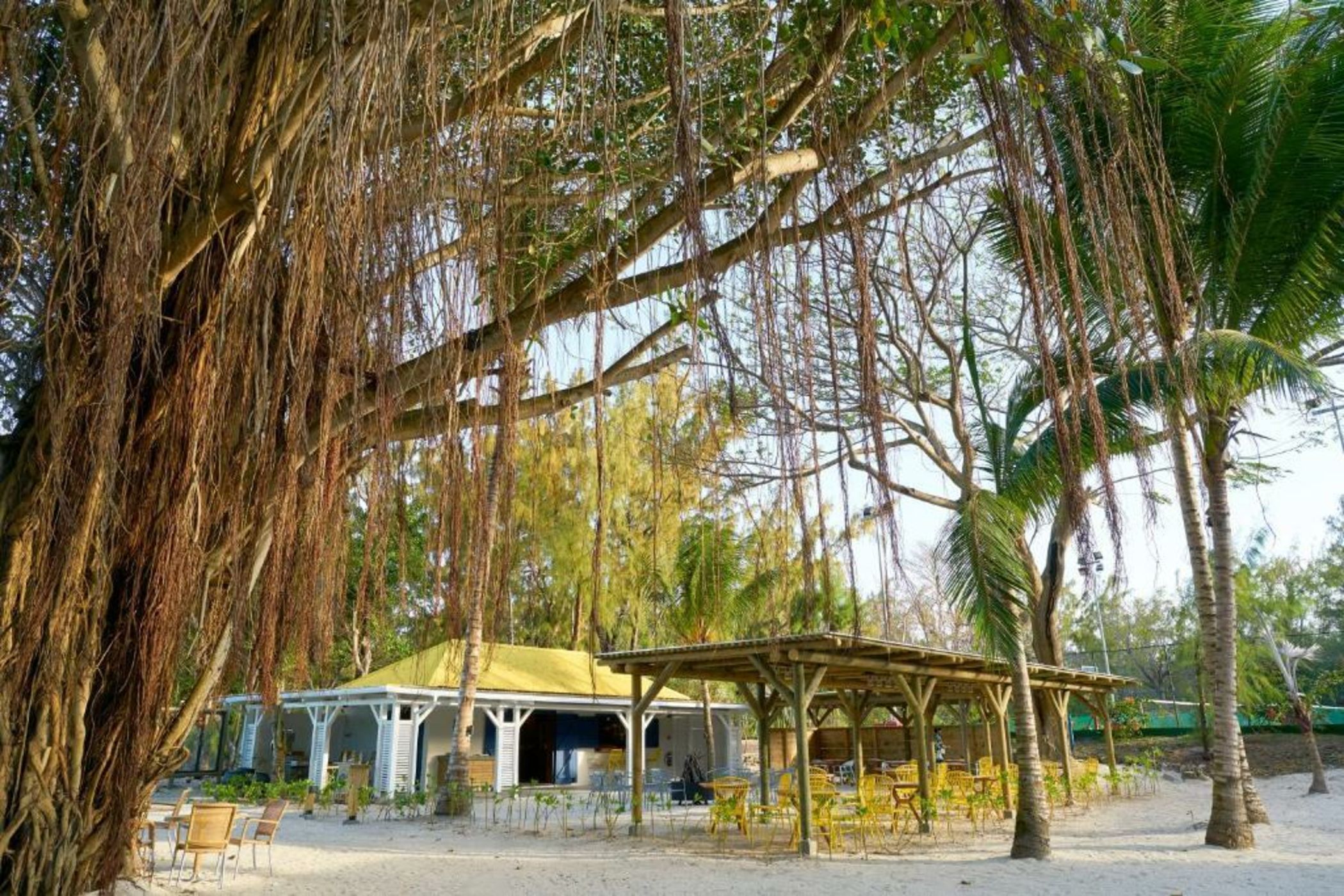 Lagoon Attitude (Adults Only)