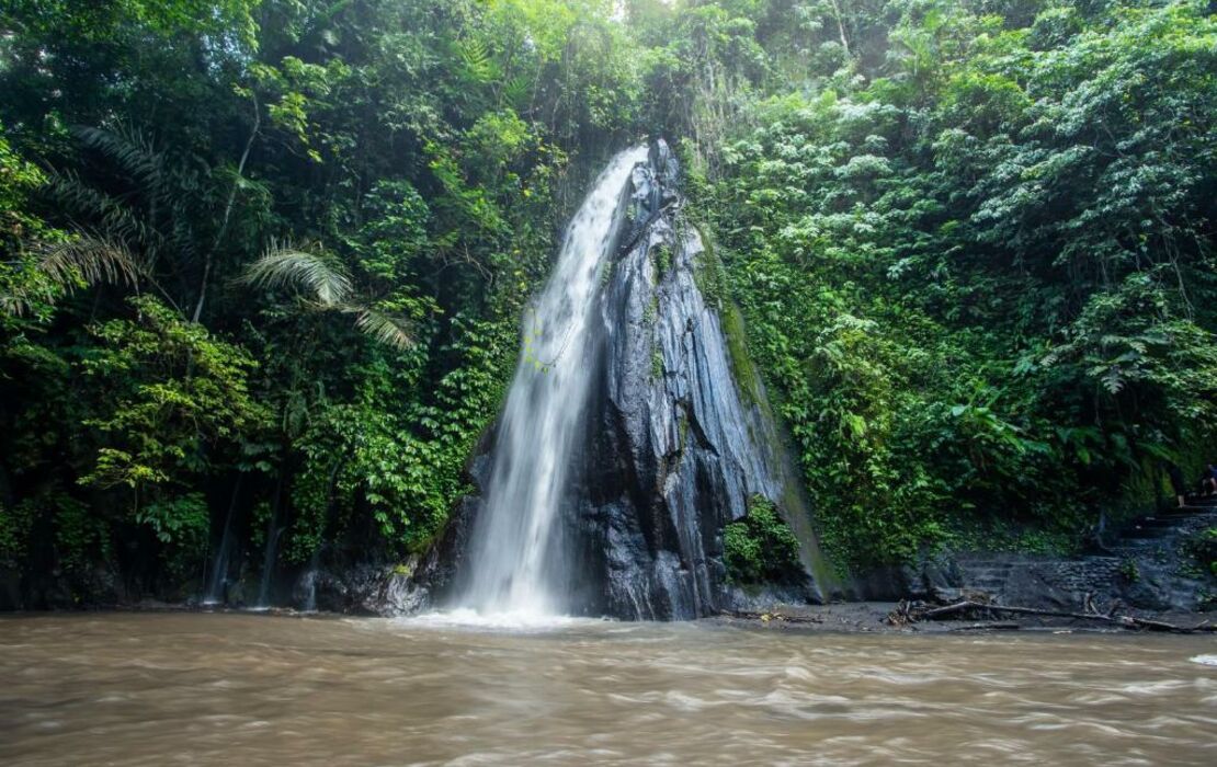 Buahan, a Banyan Tree Escape