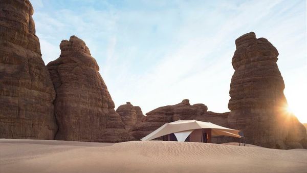Banyan Tree AlUla