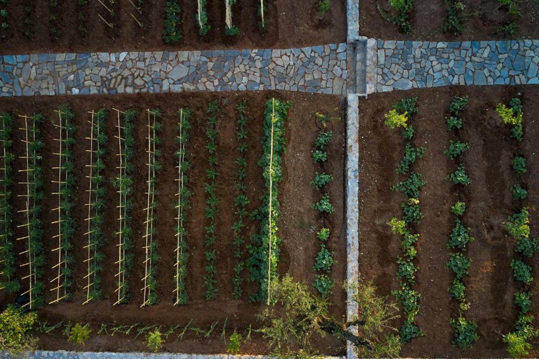 Lesante Cape Resort & Villas, a member of The Leading Hotels of the World