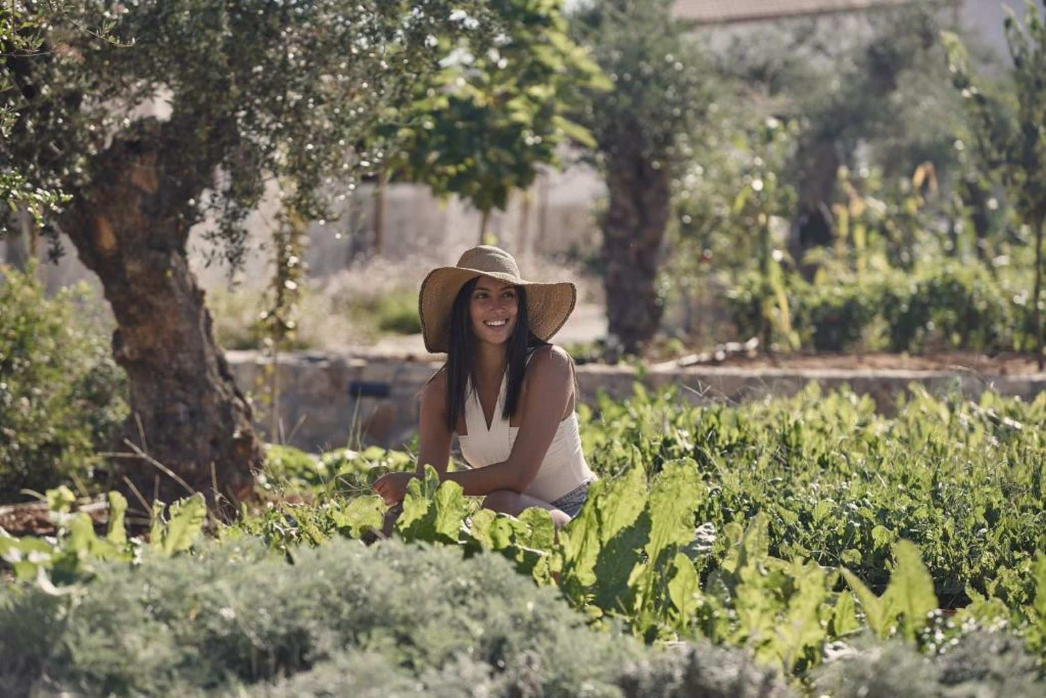 Lesante Cape Resort & Villas, a member of The Leading Hotels of the World