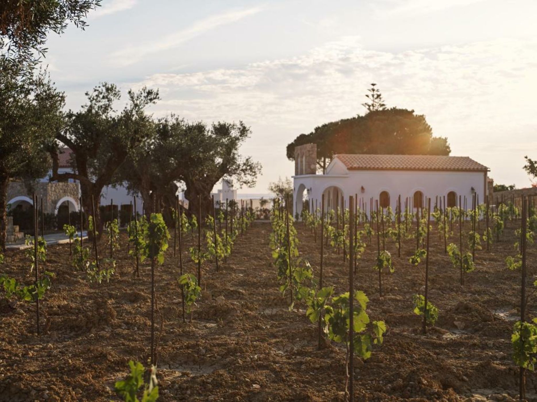 Lesante Cape Resort & Villas, a member of The Leading Hotels of the World