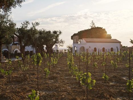 Lesante Cape Resort & Villas, a member of The Leading Hotels of the World