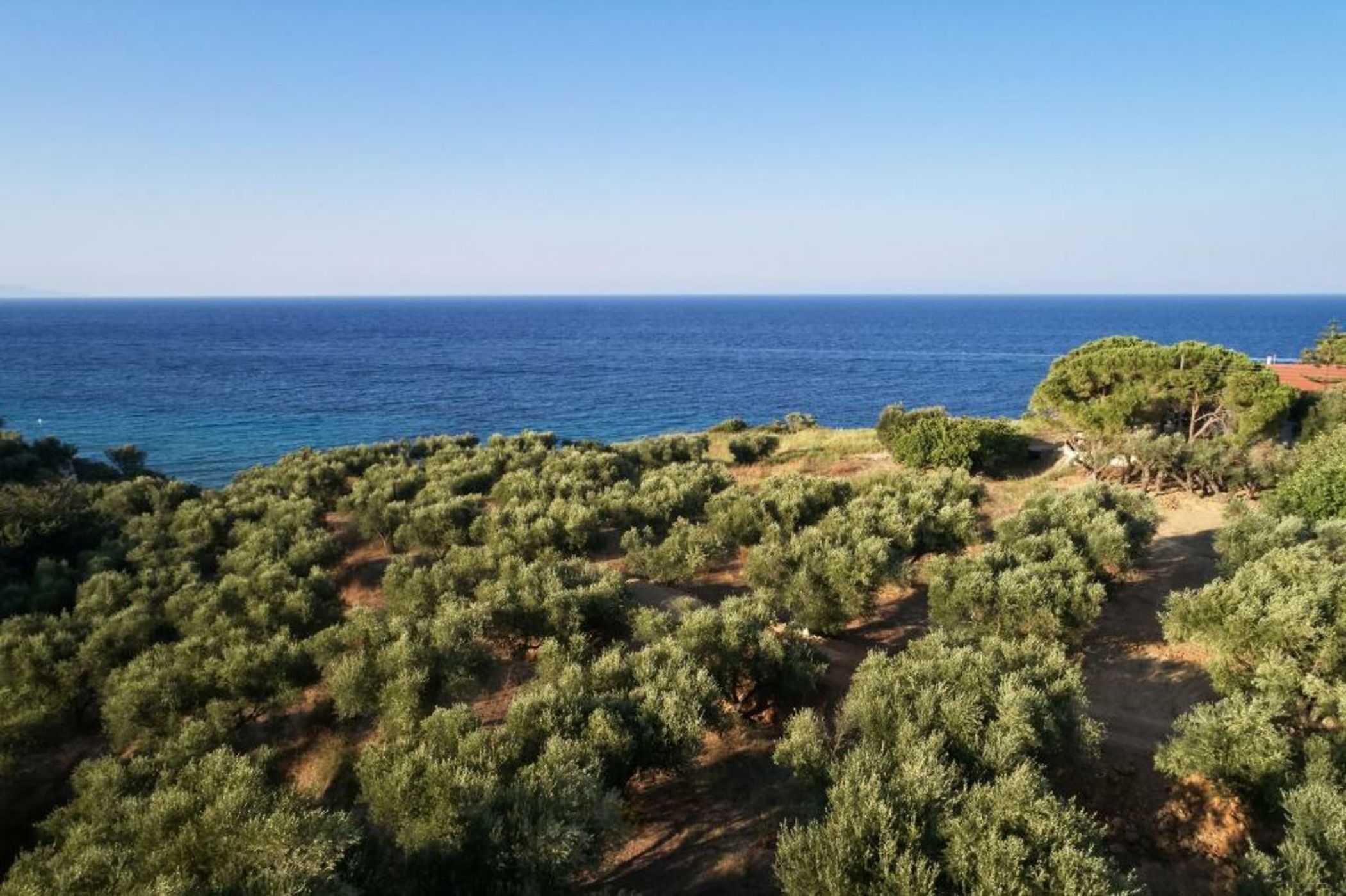 Lesante Cape Resort & Villas, a member of The Leading Hotels of the World