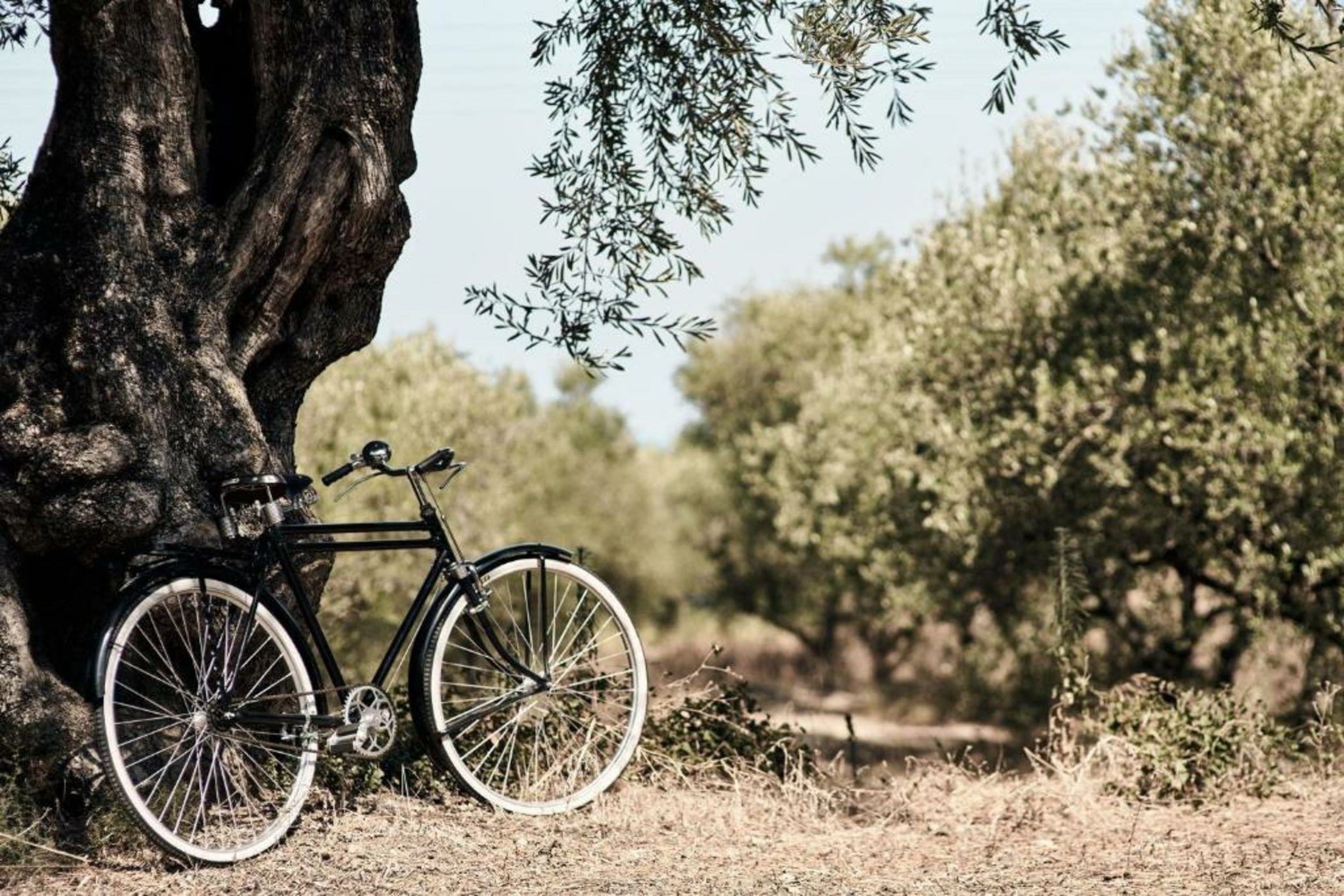 Lesante Cape Resort & Villas, a member of The Leading Hotels of the World