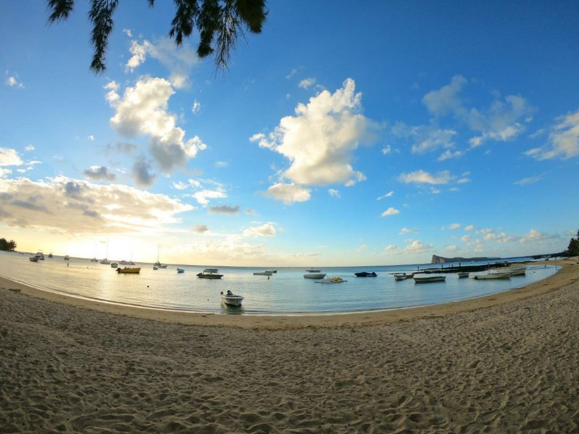 Coin de Mire Attitude