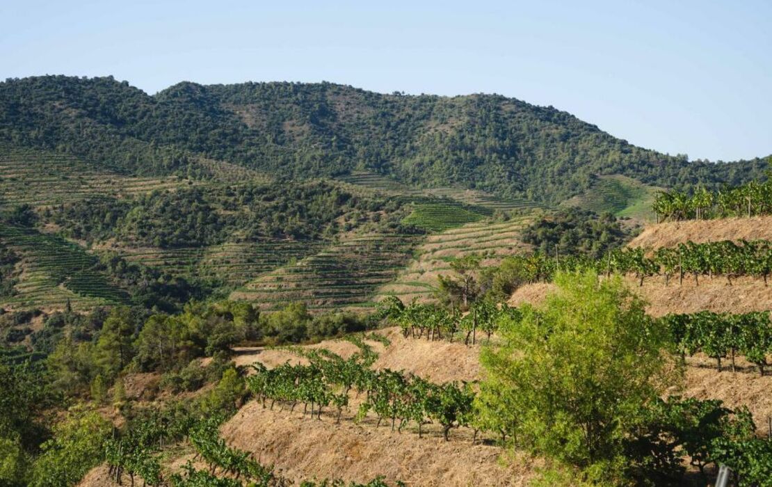 Ora Hotel Priorat