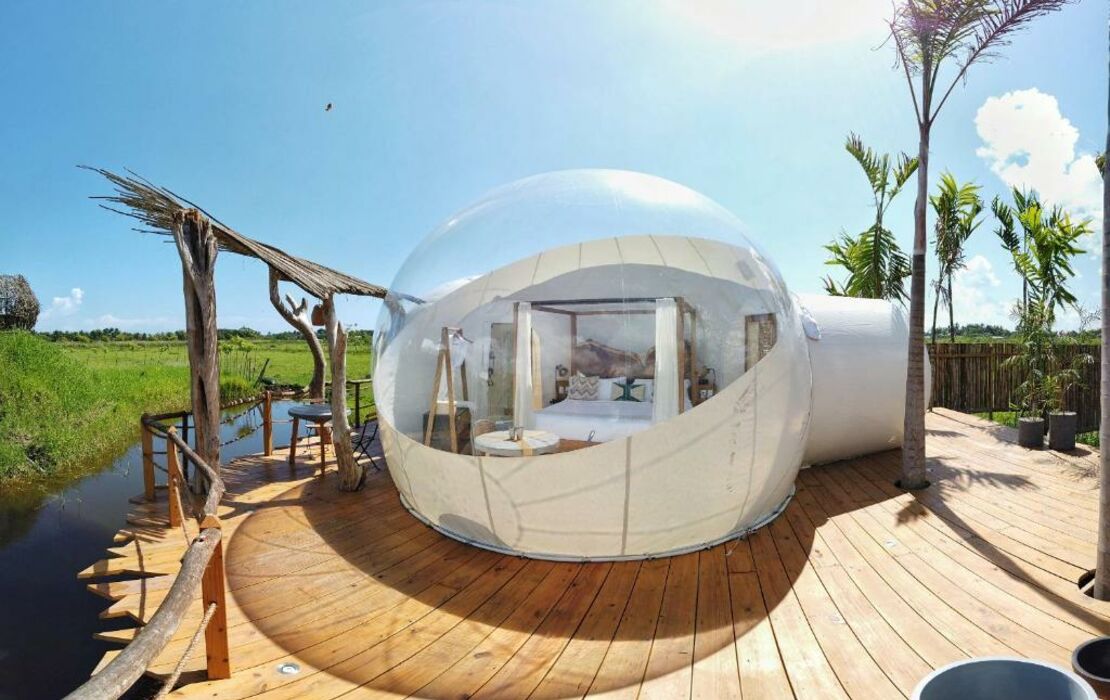 Green Land Bubble Glamping