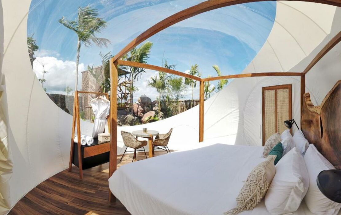 Green Land Bubble Glamping