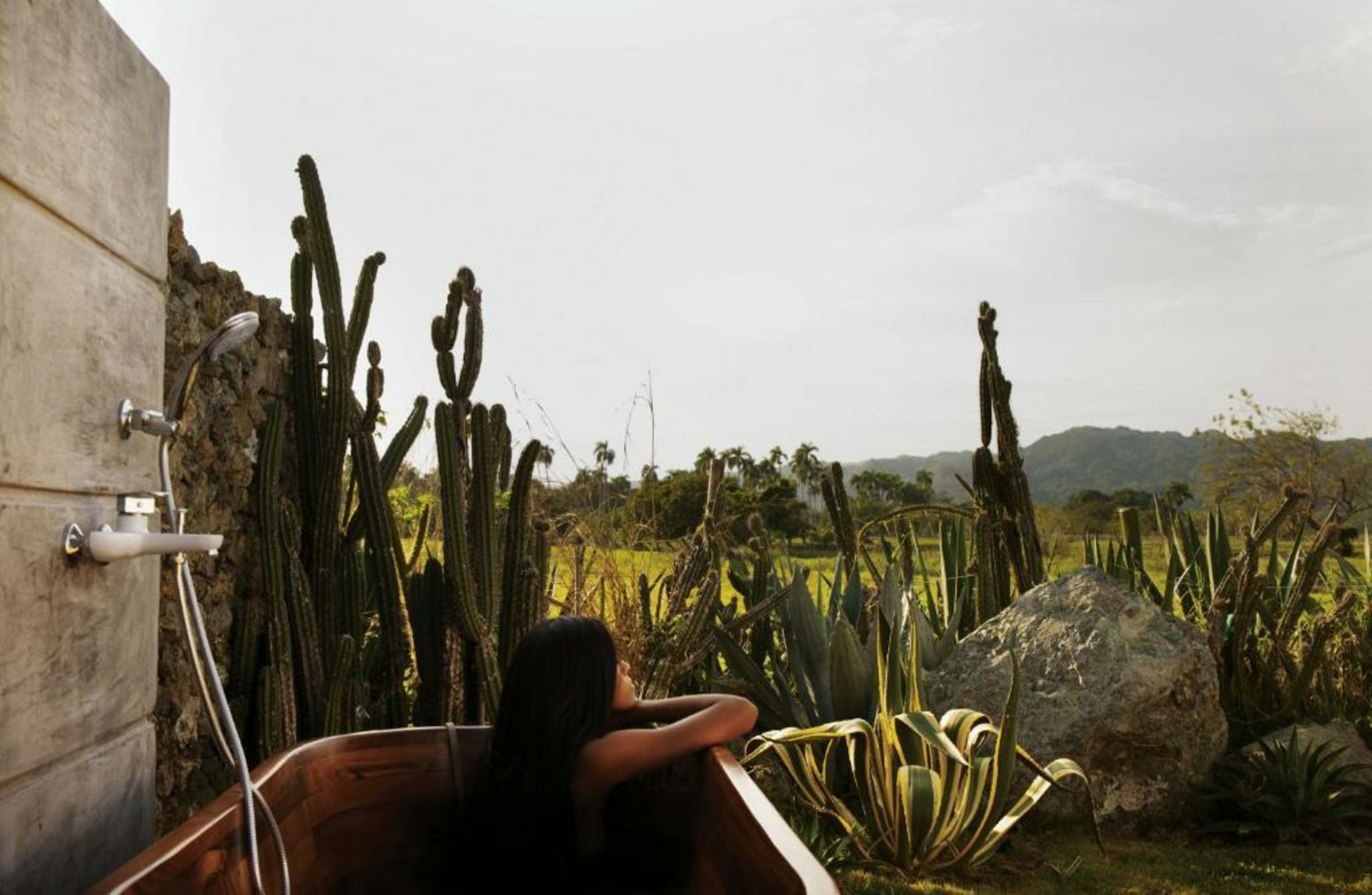 Green Land Bubble Glamping