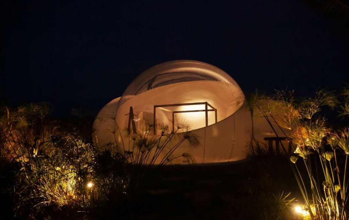 Green Land Bubble Glamping