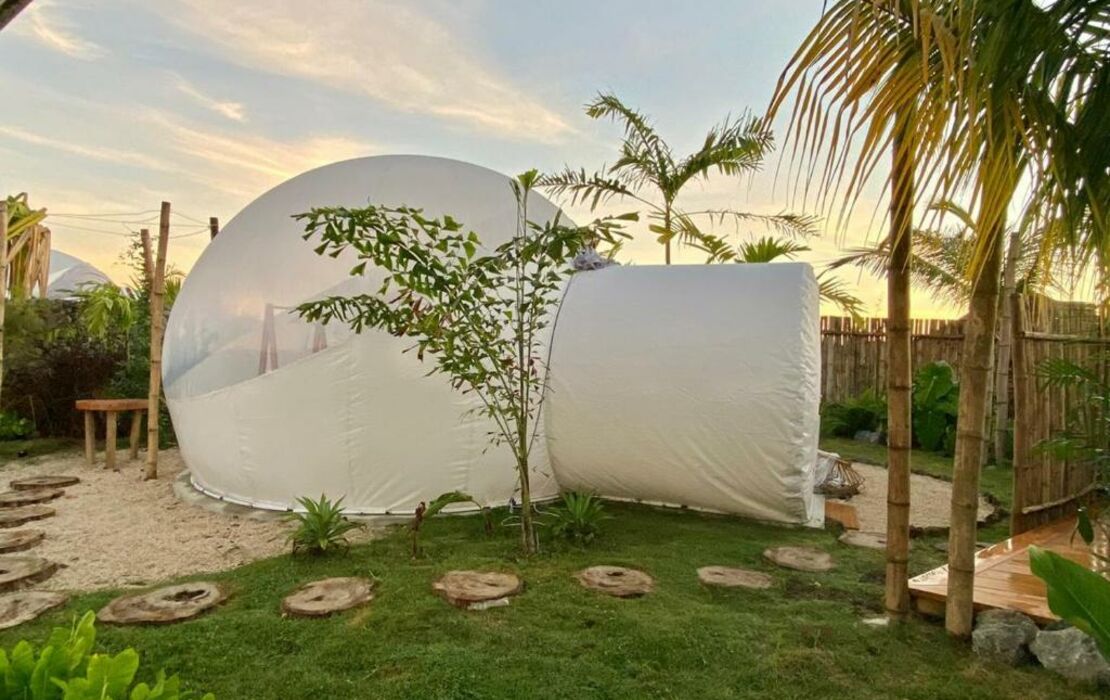 Green Land Bubble Glamping