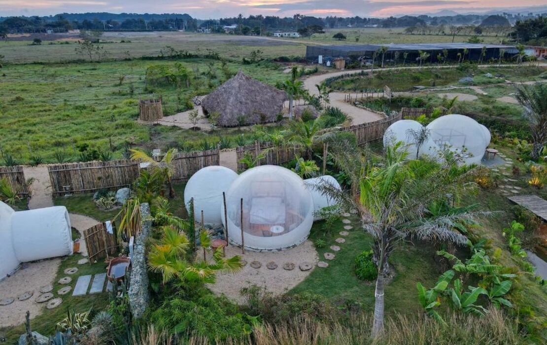 Green Land Bubble Glamping