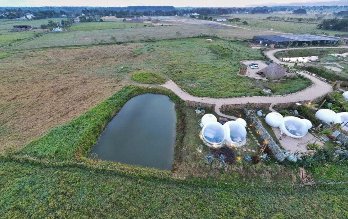 Green Land Bubble Glamping