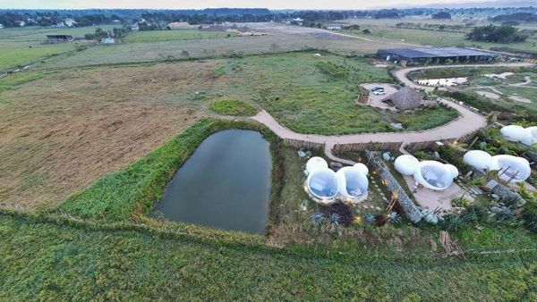 Green Land Bubble Glamping