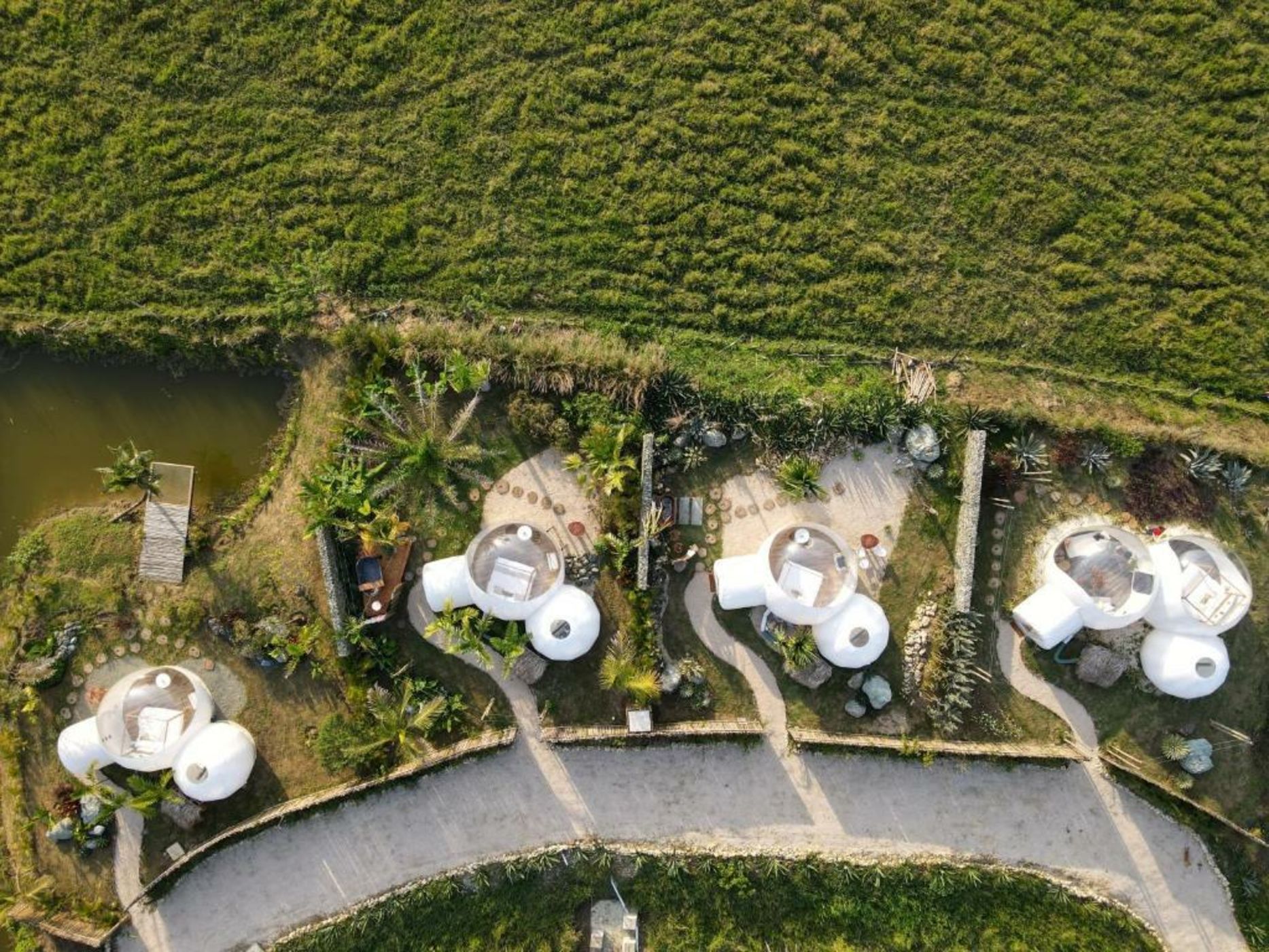 Green Land Bubble Glamping