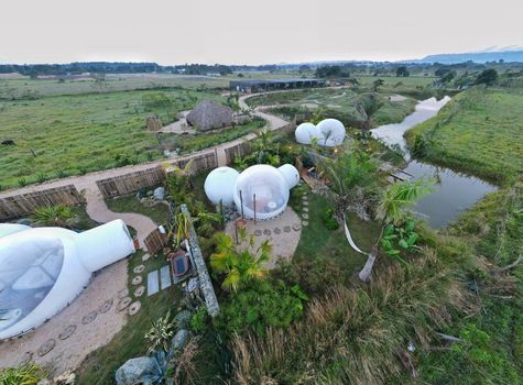 Green Land Bubble Glamping