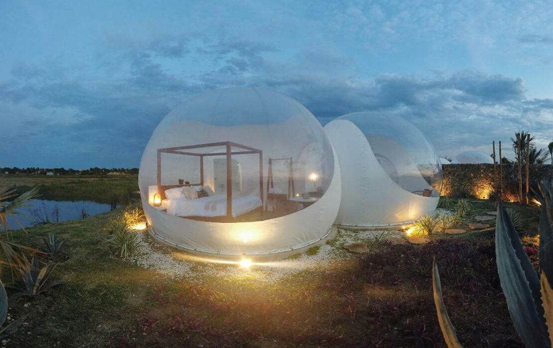 Green Land Bubble Glamping