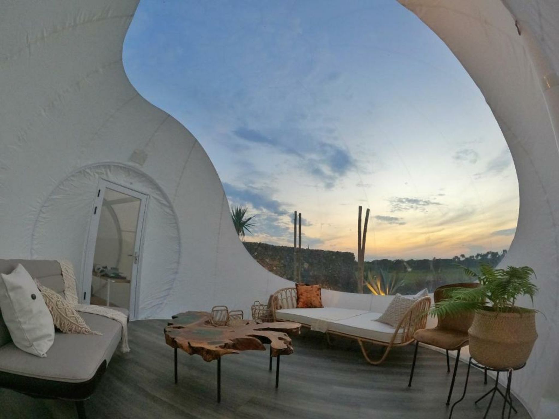 Green Land Bubble Glamping