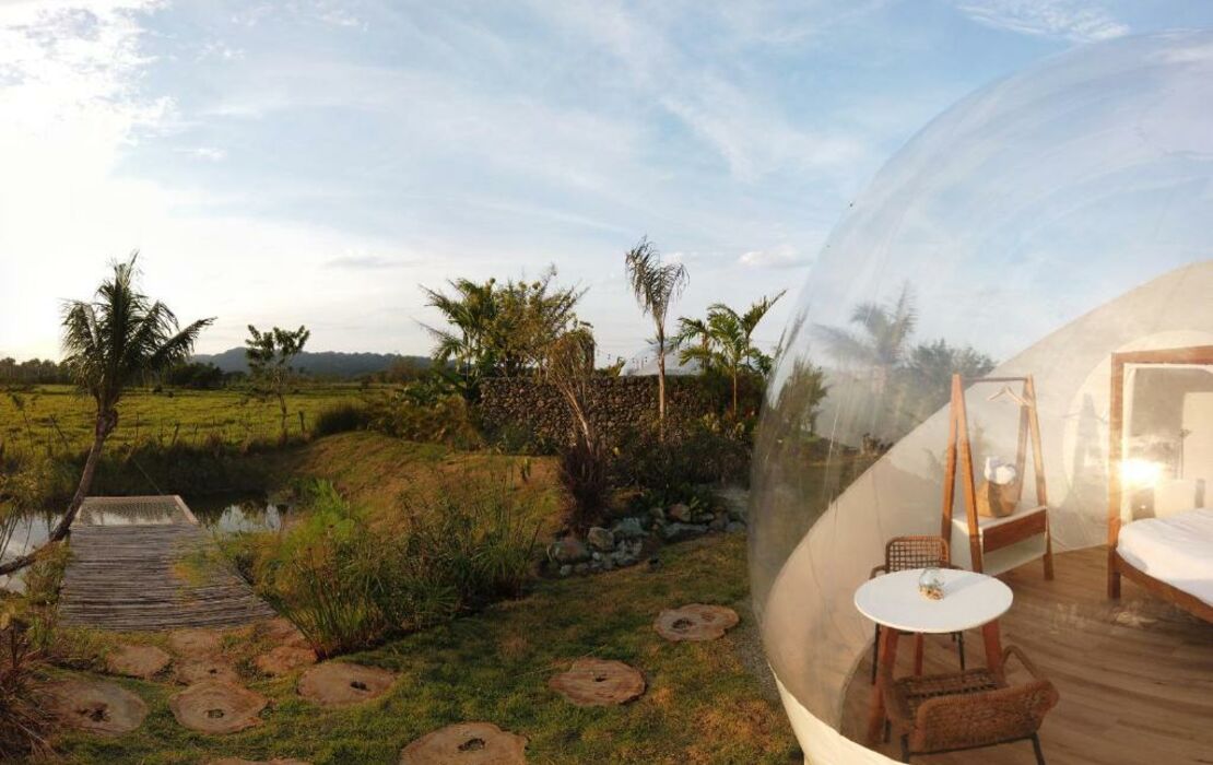 Green Land Bubble Glamping