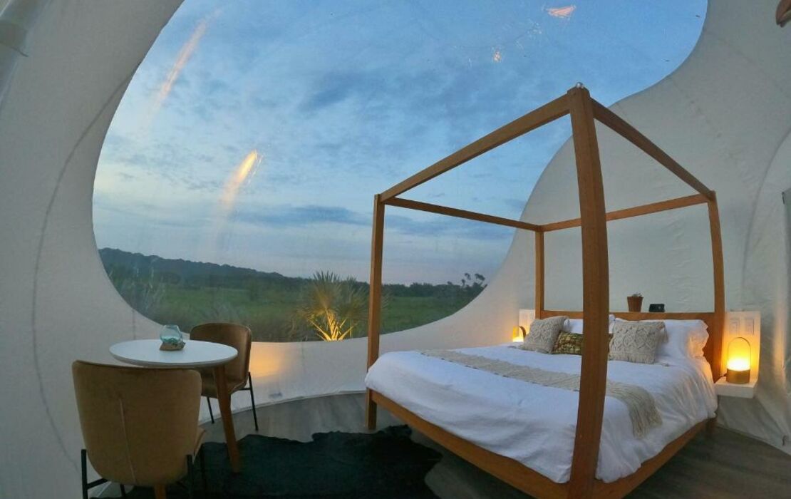 Green Land Bubble Glamping