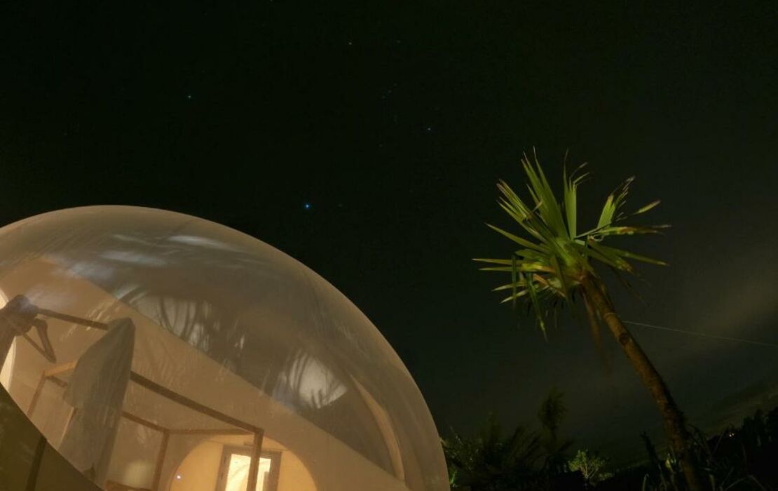 Green Land Bubble Glamping