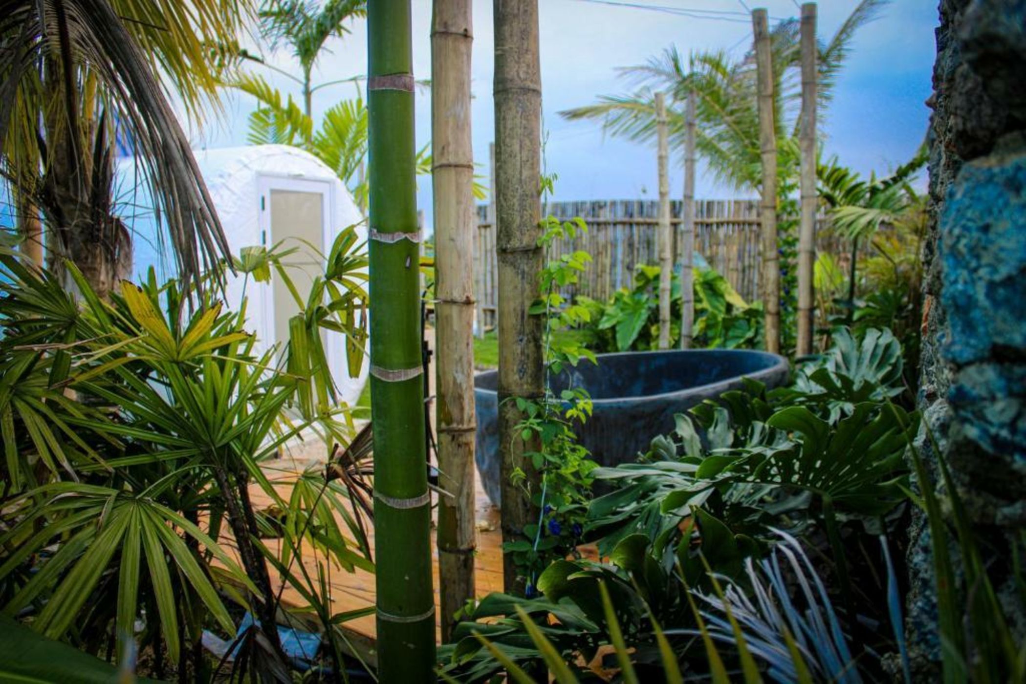 Green Land Bubble Glamping